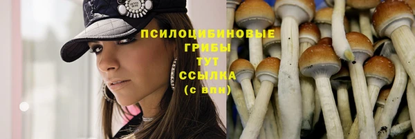 гашиш Богородицк