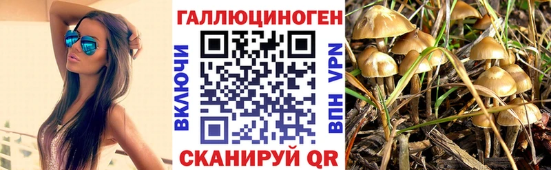 Псилоцибиновые грибы Magic Shrooms  где купить   Лыткарино 
