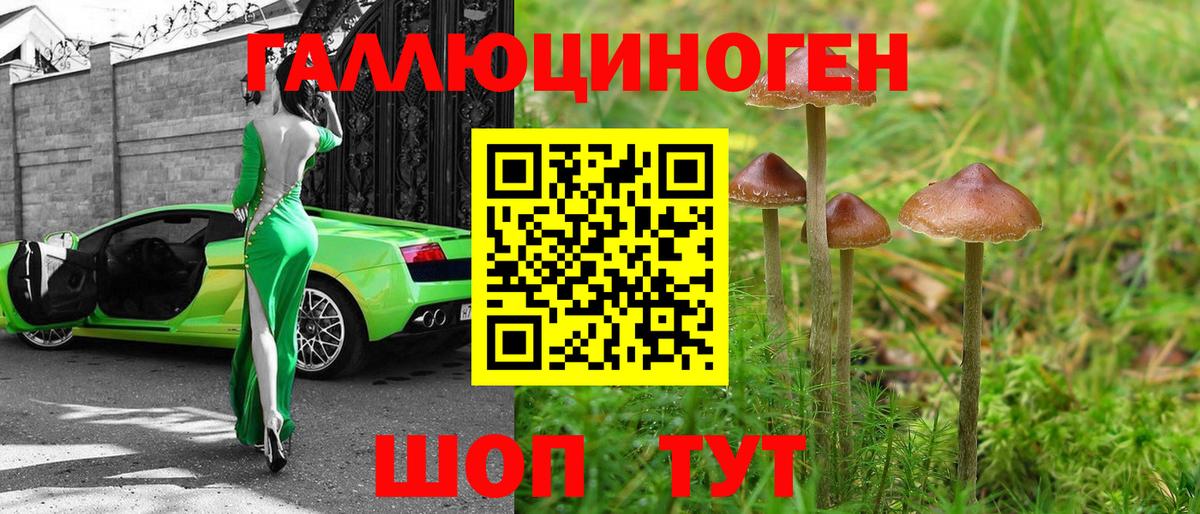 Лыткарино  Псилоцибиновые грибы мицелий  Вход с VPN 