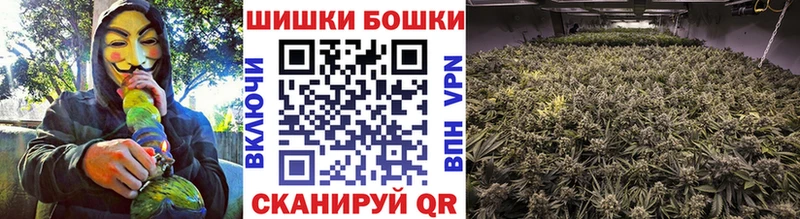 МАРИХУАНА ГИДРОПОН  купить наркоту  Лыткарино 